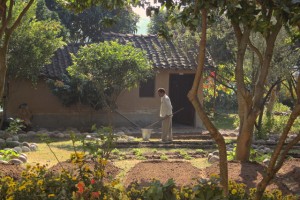 Newly prepared beds, Basunti, winter 2013